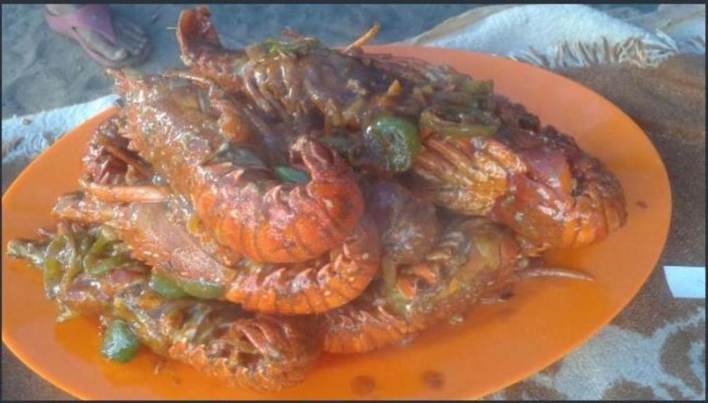 Penginapan Bayu Samudra Garut Zewnętrze zdjęcie